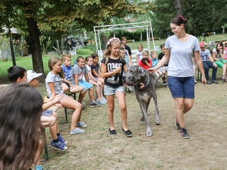 MMK Táborzáró - fotó: Ónodi Zoltán