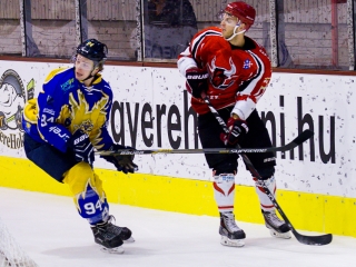 Dab Docler- Brassó mérkőzés - fotó: Ónodi Zoltán