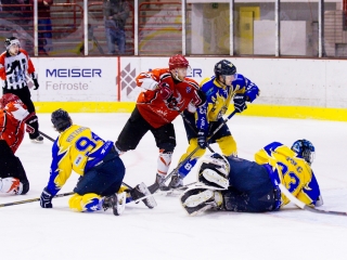 Dab Docler- Brassó mérkőzés - fotó: Ónodi Zoltán