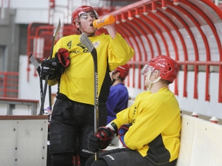 A DAB első jeges edzése - fotó: Sándor Judit
