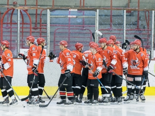 Edzőmérkőzés: DAB- FTC - fotó: Ónodi Zoltán