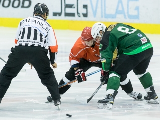 Edzőmérkőzés: DAB- FTC - fotó: Ónodi Zoltán