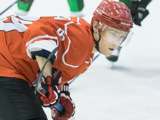 Edzőmérkőzés: DAB- FTC - fotó: Ónodi Zoltán