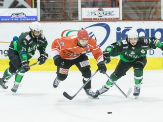 Edzőmérkőzés: DAB- FTC - fotó: Ónodi Zoltán