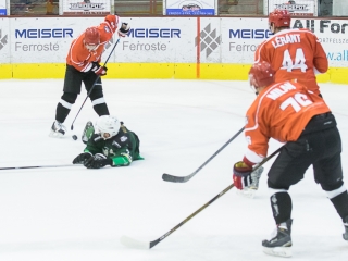 Edzőmérkőzés: DAB- FTC - fotó: Ónodi Zoltán