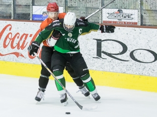 Edzőmérkőzés: DAB- FTC - fotó: Ónodi Zoltán