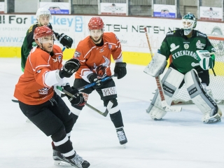 Edzőmérkőzés: DAB- FTC - fotó: Ónodi Zoltán