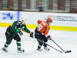 Edzőmérkőzés: DAB- FTC - fotó: Ónodi Zoltán