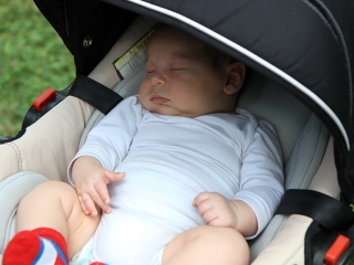 Augusztus 20.: ünnep a Szalki-szigeten - fotó: Sándor Judit