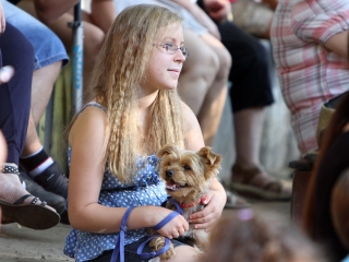 Ligetzáró és színházi évadnyitó - fotó: Sándor Judit