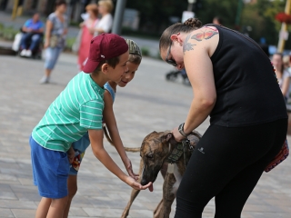 10.000 lépés érted és értük! - Jótékonysági séta - fotó: Ónodi Zoltán
