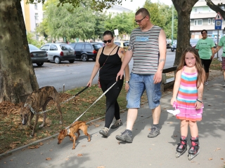 10.000 lépés érted és értük! - Jótékonysági séta - fotó: Ónodi Zoltán