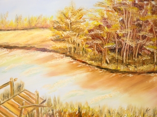 MMK Galéria: Balogh Józsefné Erzsike kiállítása - fotó: Ónodi Zoltán