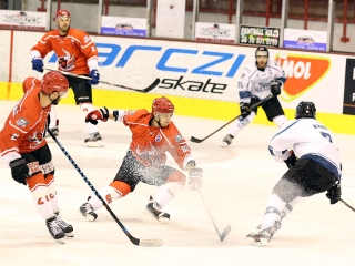 DAB - Fehérvári Titánok - fotó: Sándor Judit