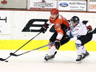 DAB - Fehérvári Titánok - fotó: Sándor Judit