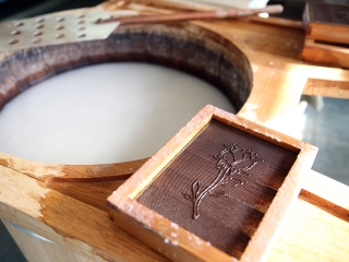 Papírgyári nyílt nap - fotó: Sándor Judit