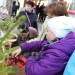 Advent harmadik vasárnapja a Rómain - fotó: Ónodi Zoltán