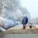 Téli képek városunkról - fotó: Sándor Judit