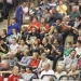 DKKA - FTC bajnoki elődöntő - fotó: Sándor Judit