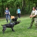 Duna Dog Center kutyiskola születésnapja - fotó: Ónodi Zoltán