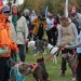 Hard Dog Race Dunaújvárosban - fotó: 