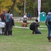 Hard Dog Race Dunaújvárosban - fotó: 