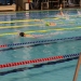 Regionális úszó bajnokság - fotó: 