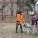 Családi farsang kutyusokkal – a felelős állattartás jegyében - fotó: 