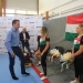 Tornászok köszöntése (2023) - fotó: 