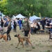 I. Duna Dog Center Fesztivál - fotó: 