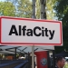 AlfaCity a Szalki-szigeten (2025) - fotó: 