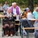 Hagyd otthon az unokád! (2025) - fotó: 