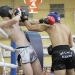 WKF Amatőr Európa-bajnokság 1. nap - fotó: Sándor Judit