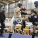 WKF Amatőr Európa-bajnokság 1. nap - fotó: Sándor Judit