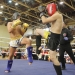 WKF Amatőr Európa-bajnokság 1. nap - fotó: Sándor Judit