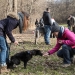 Nyílt nap a Duna Dog Center Kutyaiskolában - fotó: Ónodi Zoltán