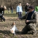 Nyílt nap a Duna Dog Center Kutyaiskolában - fotó: Ónodi Zoltán