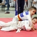 Judo - Nyuszi Kupa 2016 - fotó: Sándor Judit