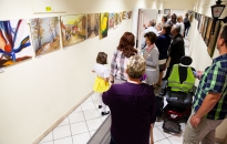 Barangolás a képek világában