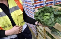 Nyári razziát tart a NÉBIH