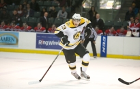 David Mazurek az Acélbikáknál