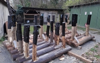 Újjászületik a város kellős közepén lévő zöld ékszerdoboz, az arborétum