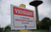 Táblákkal hívják fel a figyelmet a kutyákra leselkedő veszélyre!