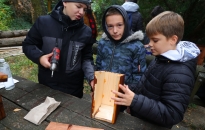 Alapítványi segítség a több madárodúért Alapítványi segítség a több madárodúért