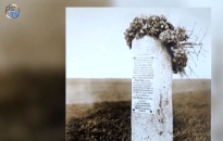 DSTV: Szoborváros V. DSTV: Szoborváros V.