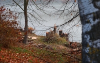Fontos munkák zajlanak a Szalki-szigeten