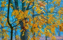 A télből az őszbe, aztán megint vissza