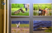 DSTV: ezer szín a Bartók aulájában DSTV: ezer szín a Bartók aulájában