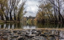 Borongós, de viszonylag enyhe idő várható