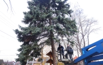 Hagyományos ünnepi díszítés Újtelepen